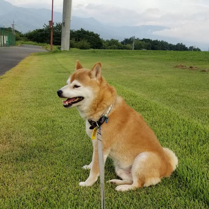 B3d0464d 3c5a 4dfb 86da 5e3135f948d4 1627291160396