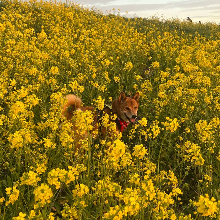 B3d0519b e937 47f1 a9b8 9e8b7ee7d559 1710839460972