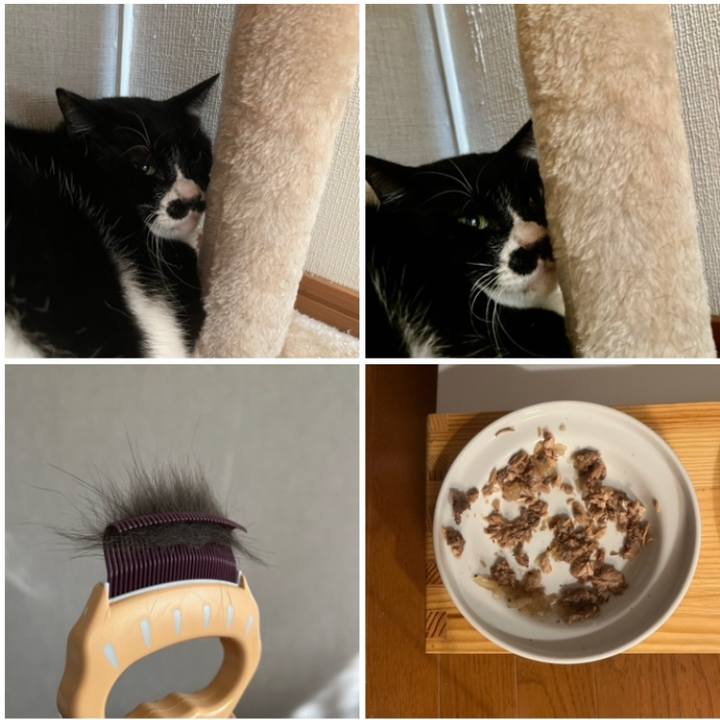 B3d05654 329b 4374 b654 e742599d8730 1699090748868