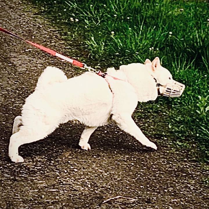 B3d09c23 22d9 4937 a035 3f701adea00a 1589417762508