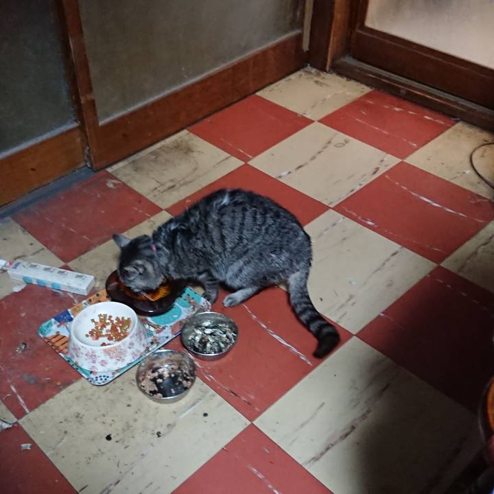 B3d09e0f d011 464f 9ac0 cb851763a25f 1580980546483