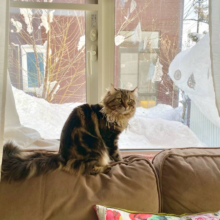 B3d09e23 24da 4435 a54b 993f02aafff4 1642228492367