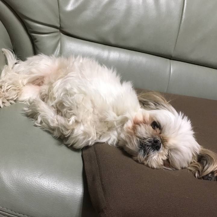 B3d09e35 085d 4e43 9791 3736c5392931 1516188358055