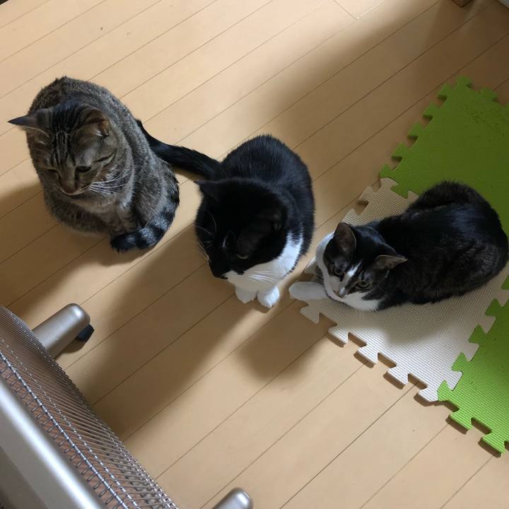 B3d0a898 e0c2 47ed a47b 4b2530f481f9 1550235766634