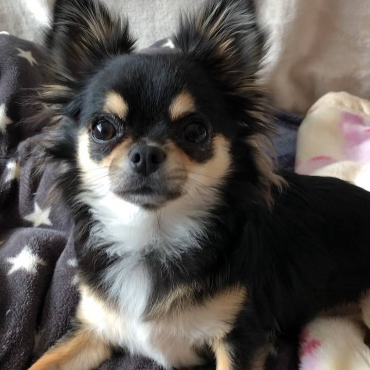 B3d0ac92 1981 4dd0 8aaa 735369d41b02 1550010354975