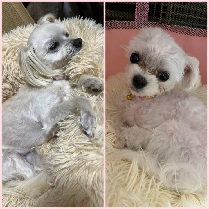 B3d0b08d a725 461d 9248 7a43f22f89d9 1716204930960