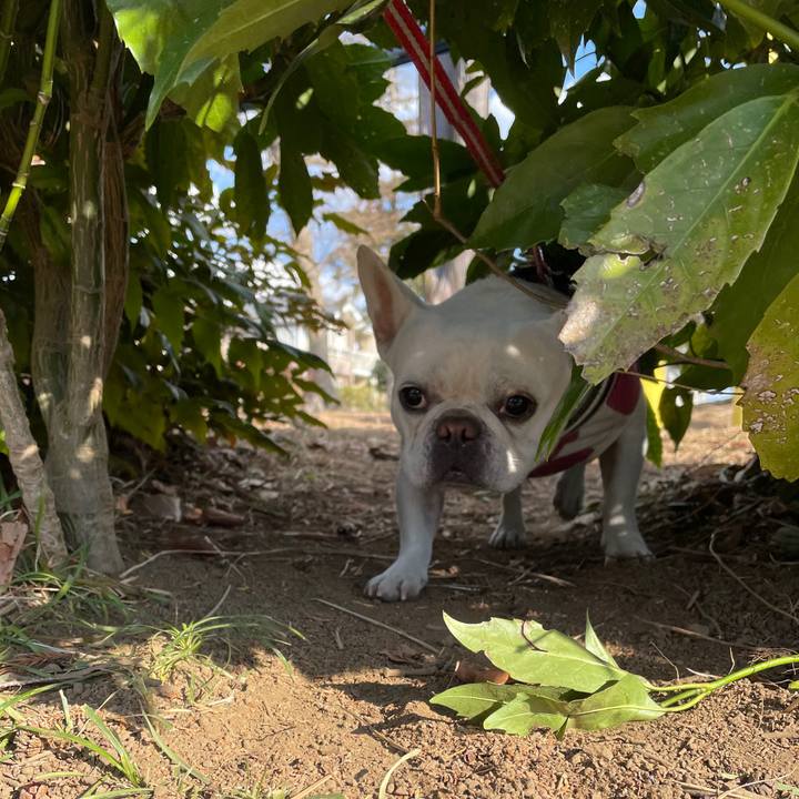 B3d10022 0782 411d a085 405c0bca0290 1739869099718