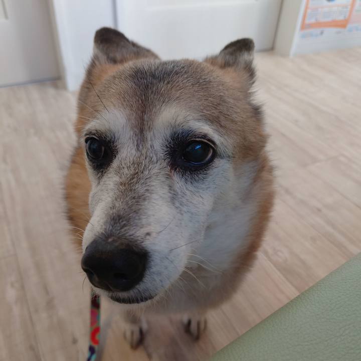 B3d103a4 268b 4bbd bf41 b91b8731ea5b 1702213386586