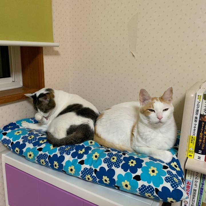 B3d131ee 2a9c 4471 a0d8 e264dc39ba83 1648894767421