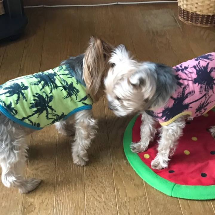 B3d147ea 8c58 4e48 bb5b a3e59a1861ea 1581933818647