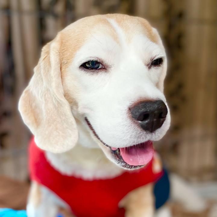 B3d14cb4 8ce2 4663 8695 9c1d404ffe69 1633146642582