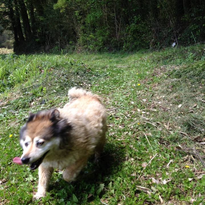 B3d15180 ca2b 4b20 809d ca618ea1a3d5 1588432229009