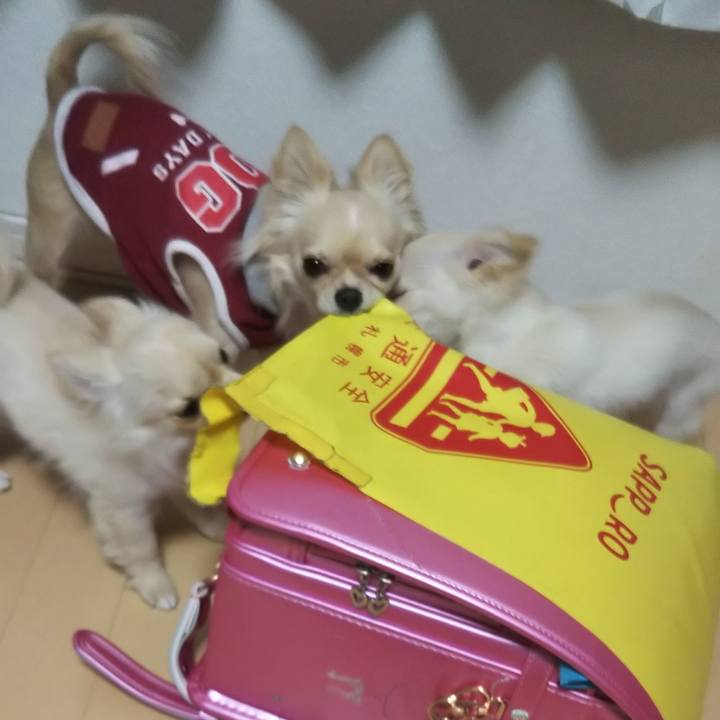 B3d15d9e af60 4bff a293 bd8d21d9b8e7 1548234936058