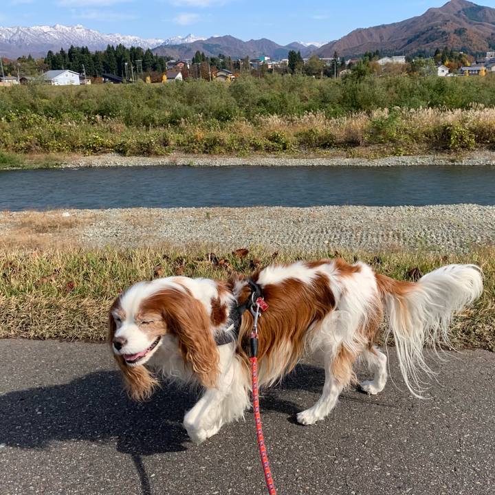 B3d1a026 3555 4b70 b387 3429edf8146e 1605242248423