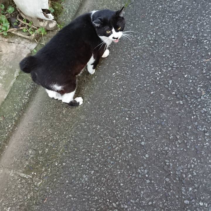 B3d1bb46 e3af 49d0 9422 d0dfa753481f 1540768696993