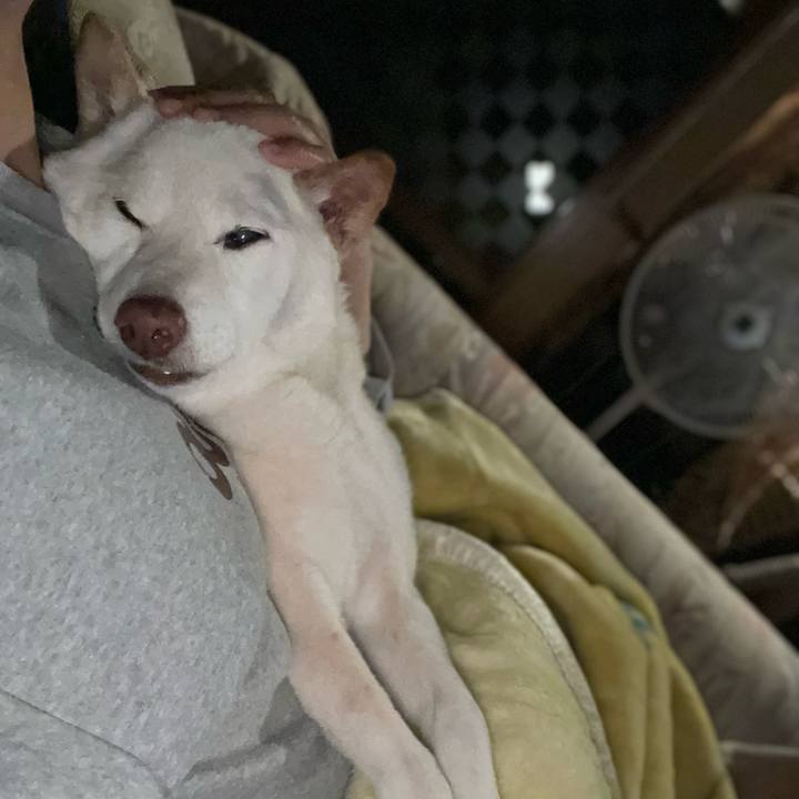 B3d20cba 1b57 4ba5 b878 397ee3d8a0d7 1648058628301