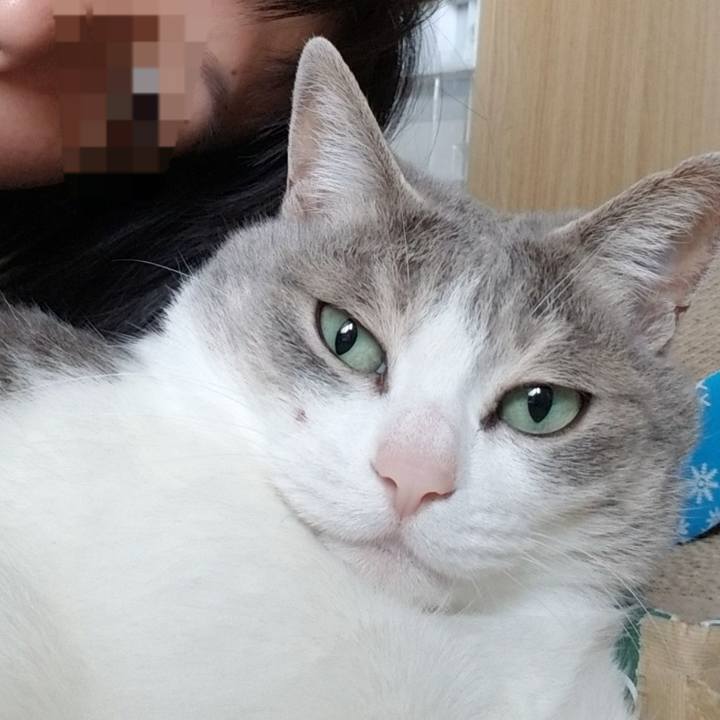 B3d22f62 8879 4cc6 afc6 a859b003c30d 1683808322031