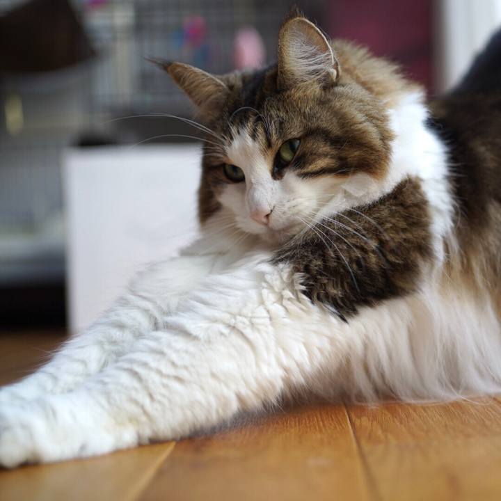 B3d27ab1 4e9e 453d 83e4 7d1bd257a1e6 1635398247270