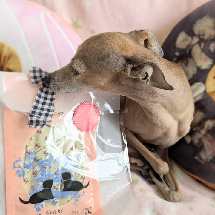 B3d2e8dc 0ffb 4c93 a61d 638f77676aa9 1773666029225