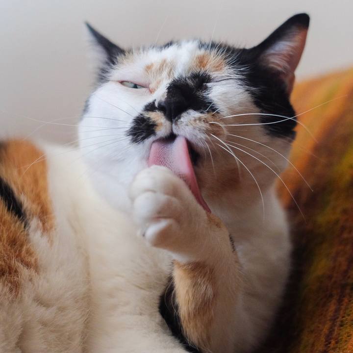 B3d2eb3e af12 44eb b103 3ebbd577c3ff 1552362125490