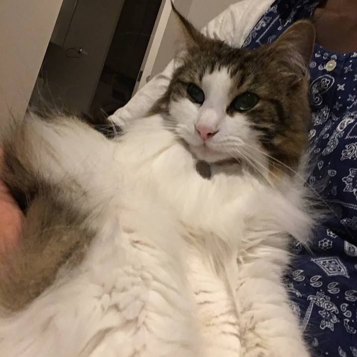 B3d30280 94ab 4d36 a910 1ac29823c71f 1530793647701