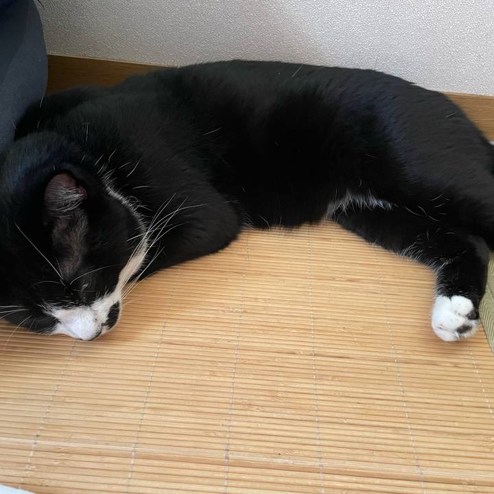 B3d30f89 f7d7 42cb 9788 e8fcbeb8fcce 1659041581119