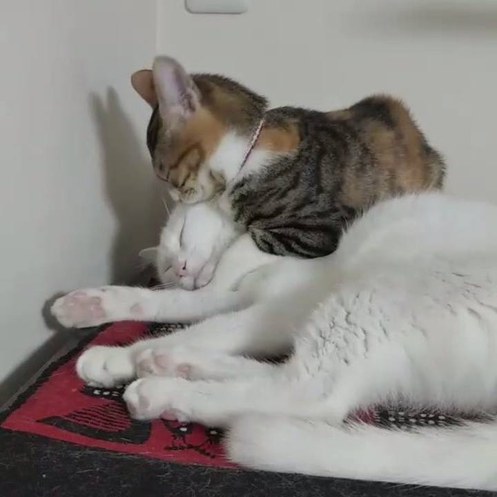 B3d31a2b 6456 40d5 8cdf b095c022b678 1631757066760