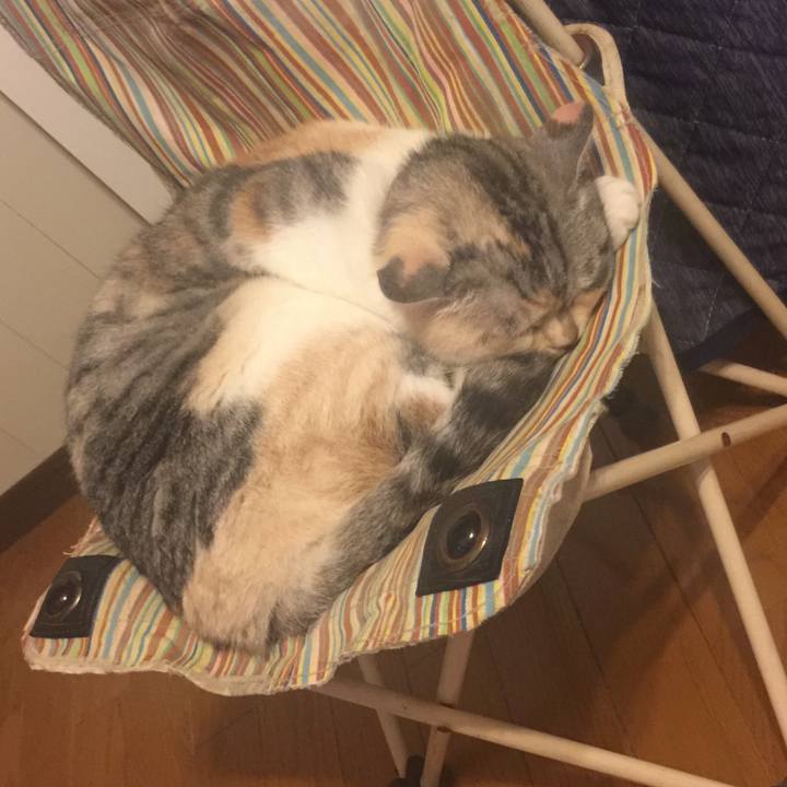 B3d34830 7b96 47b5 aedf 92696151e201 1559660573729