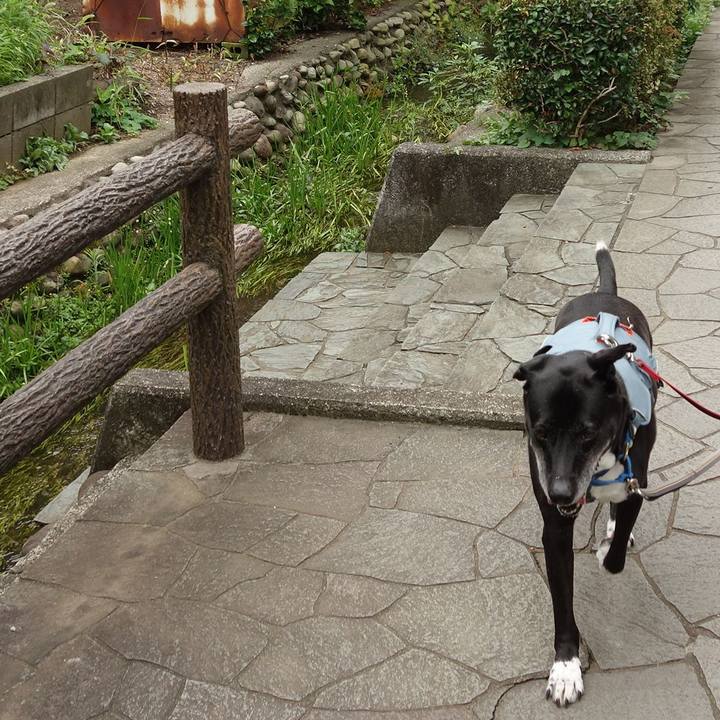 B3d34944 1977 43ca b68a ff5bbf333077 1720916854039