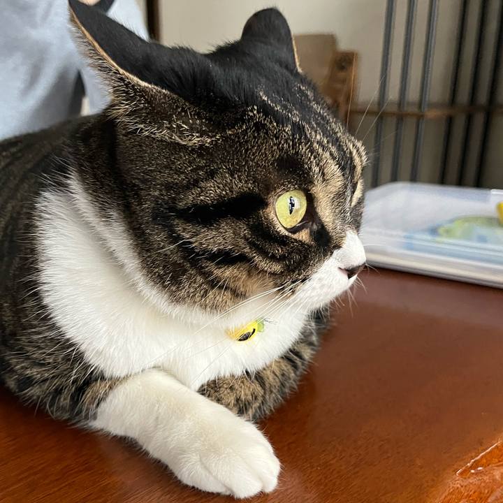 B3d34969 f6f0 400e ae43 701a0fd48640 1770077719617