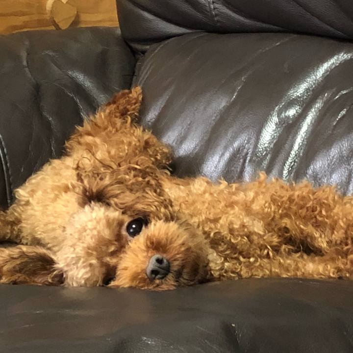 B3d375ba 6dc7 4098 baf7 3147b7f8b8f0 1537688077396