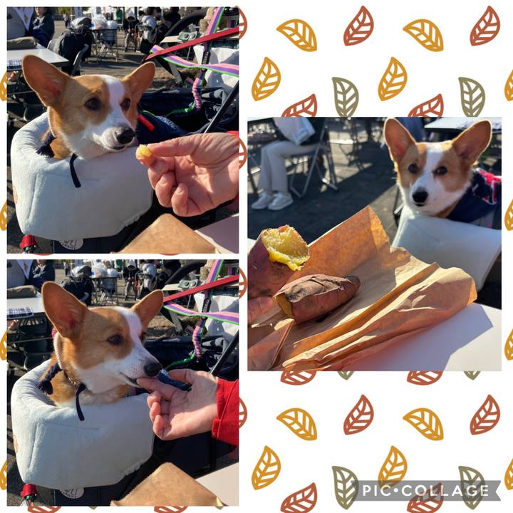 B3d3a267 6e5c 4eb5 9c51 7f80b558c5d7 1764463140193