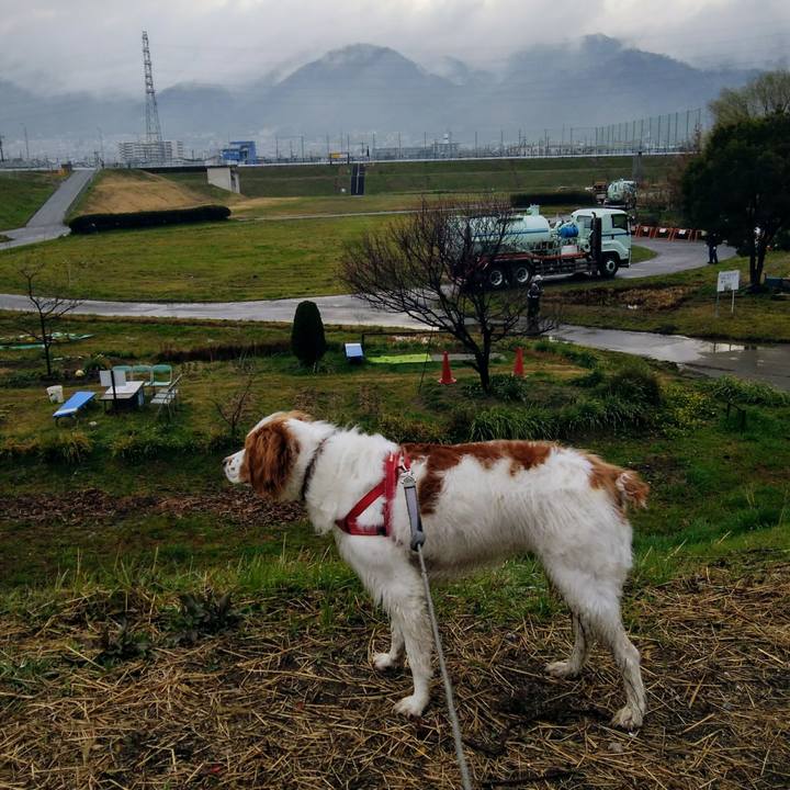 B3d3ad72 4ce9 40d4 b764 6742086c9bfd 1551918195216