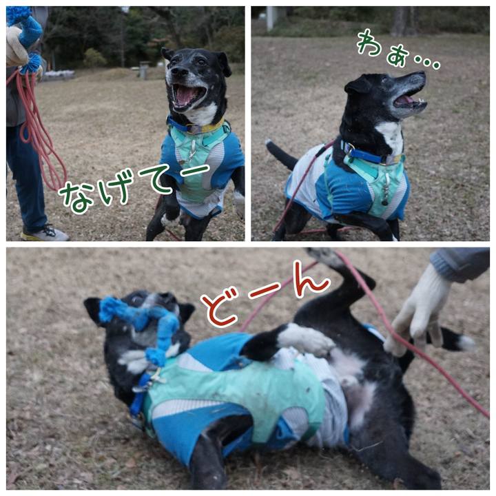 B3d3b35c 2c6f 4fac a5f9 f7aeda69ca16 1770424731203