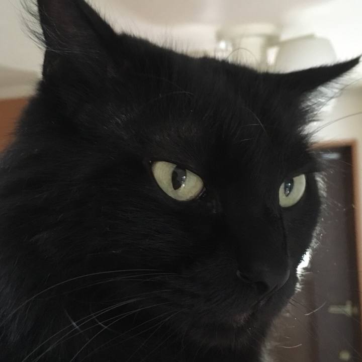 B3d3b61e db70 4f21 a096 7c5a1ba99b02 1532783488351