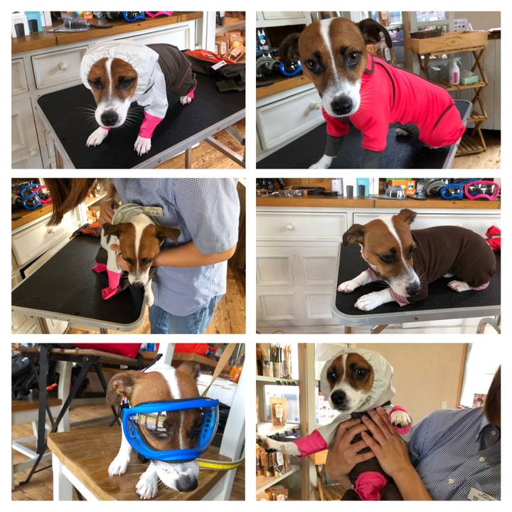 B3d3cb6d 8891 4f5e 8294 22f64be73192 1565348594201