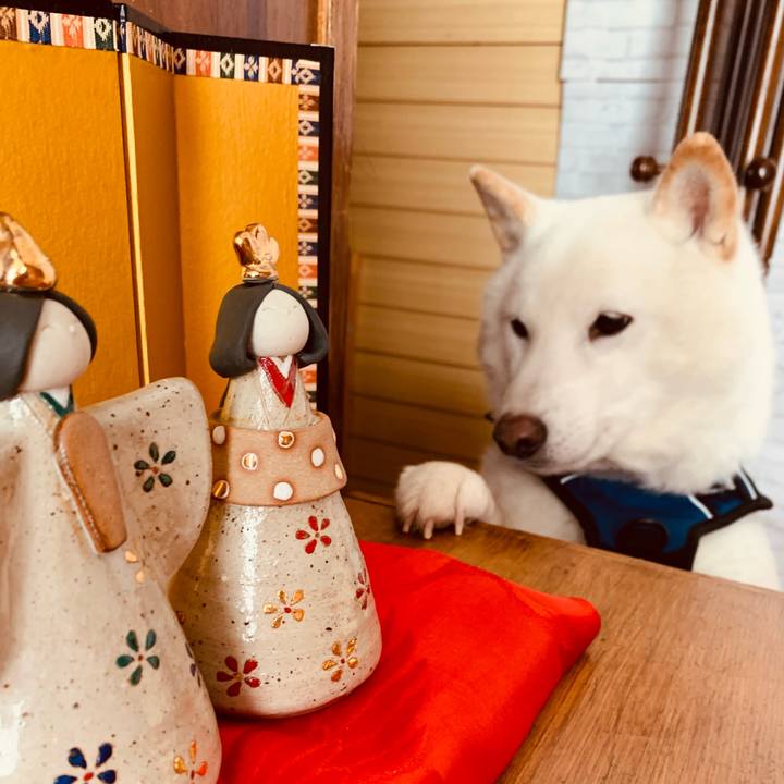 B3d4a4b9 4387 4f4e a396 cae3581b0dff 1646081168903