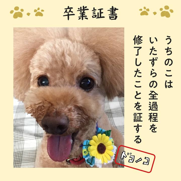 B3d4aa81 cd8a 41a2 9d2c 2d2a8458f5c5 1771820807655