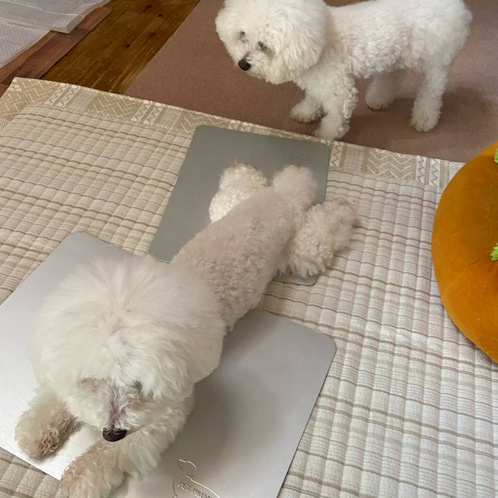 B3d4d8ee cd00 400e 95af 9adc9e0fe624 1659402514947