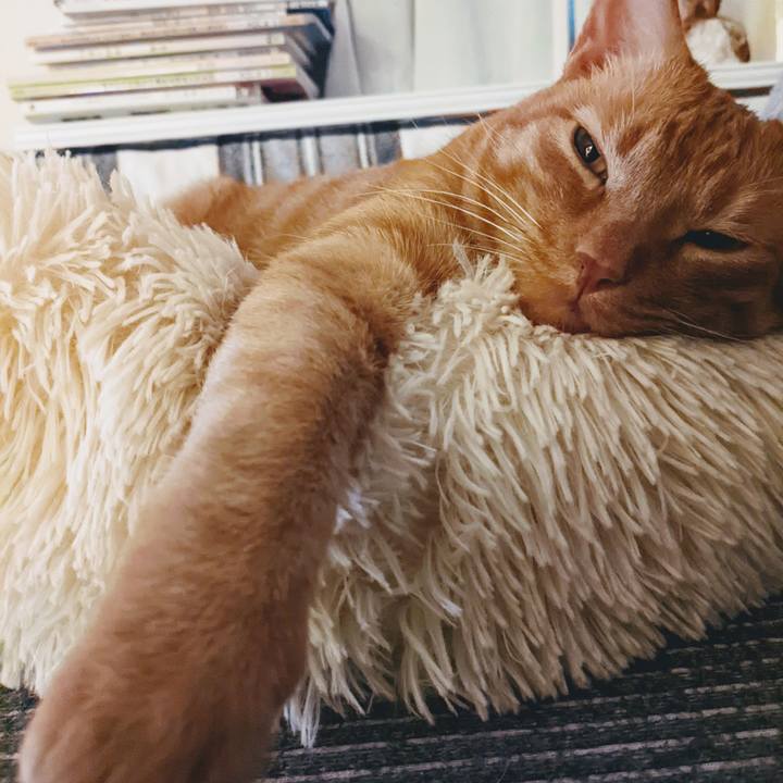 B3d4dc32 da5e 4344 8bf8 eff184ca547b 1652357195476