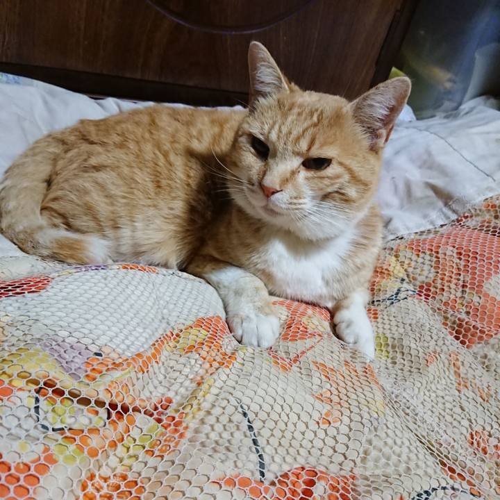 B3d500ef db5e 4932 b92d 80d97fd282c1 1587300016323