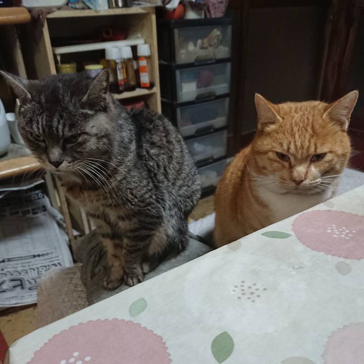 B3d53204 111e 46a2 9cdd 65f05c539325 1578260640578