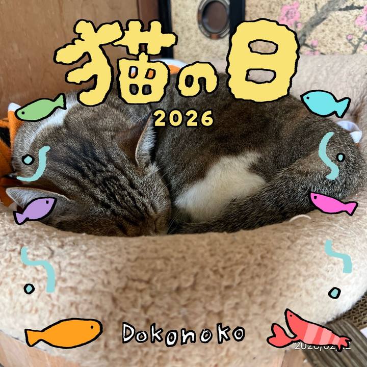 B3d53d6d f5df 479c 8cd1 64c5c9266100 1771737401728