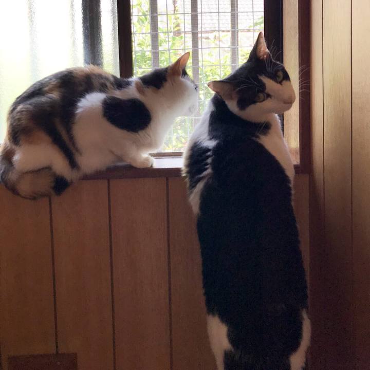 B3d55471 9011 4576 bd1e cb2cc02e54c4 1530666714280