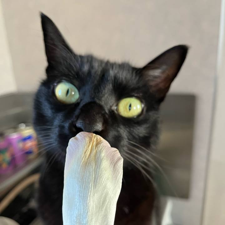 B3d5c471 5538 4f20 9514 0e5be13c00ce 1680054108003