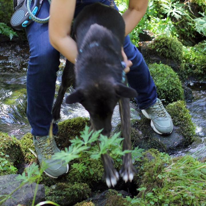 B3d5d0a3 a8dd 42a8 9945 6bda975d33c8 1534650905496