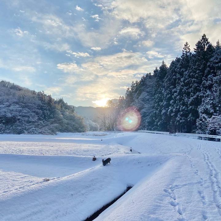 B3d6210c d18f 4bd8 b3a5 7e85cd24beb9 1675069203813