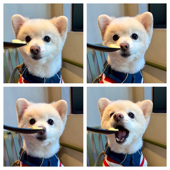 B3d64445 9a6d 4a47 98eb a8b2901ee16a 1764594884744