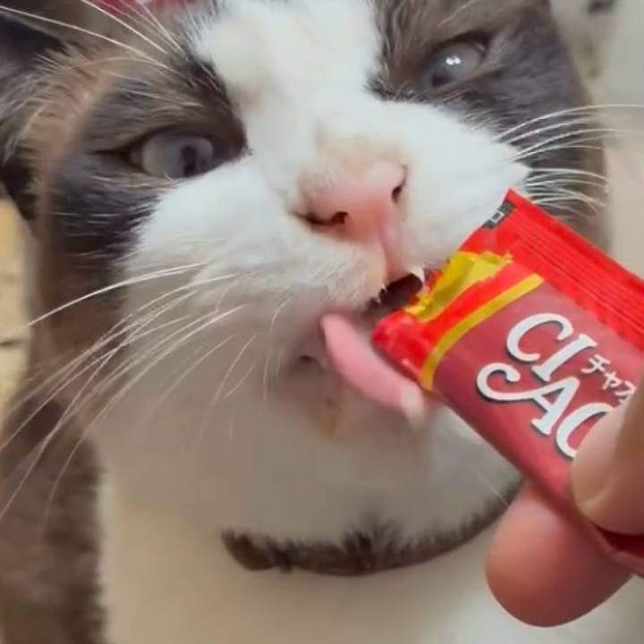 B3d6477b 9950 4ab2 b7aa bca3359faa3c 1753320980463