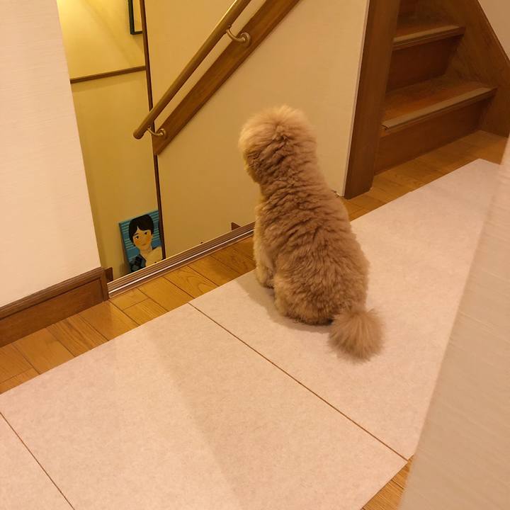 B3d64803 ae47 4270 99f9 218b807cbbc9 1542711270931